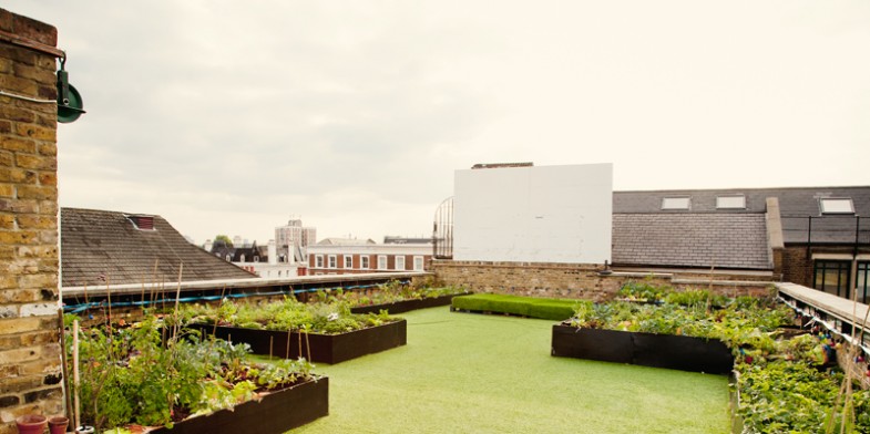 Dalston Rooftop Terrace Garden, London, 2011