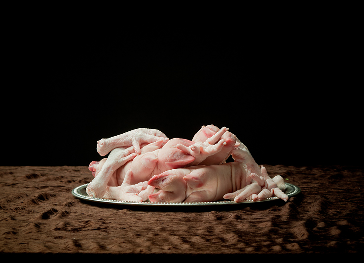 Still life with animals 2, 2010