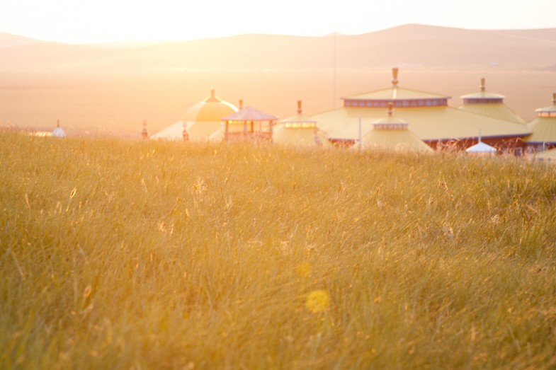 Jinzhanghan grasslands, China