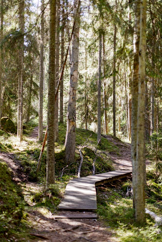 Linlo island in Kirkkonummi